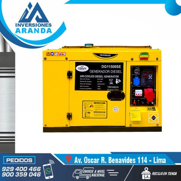 GENERADOR ELECTRICO ENCAPSULADO PETROLERO DG11500SE-T CATTINI